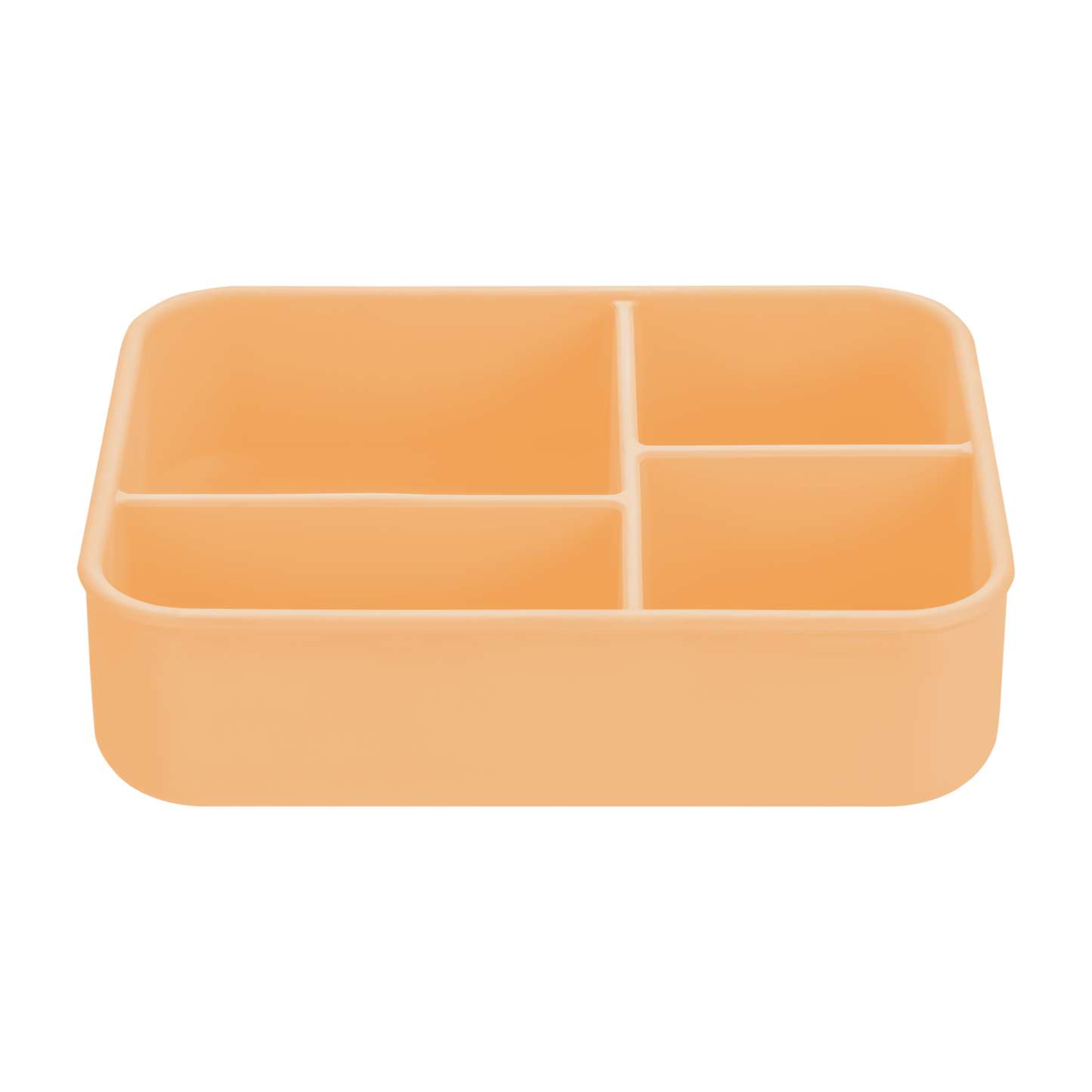 Beslenme Kutusu Bento