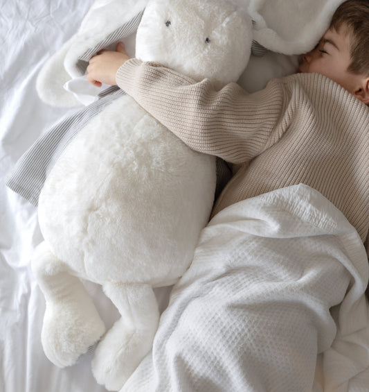 TOi TOi MAXİ - Blu 365 Aktiviteli