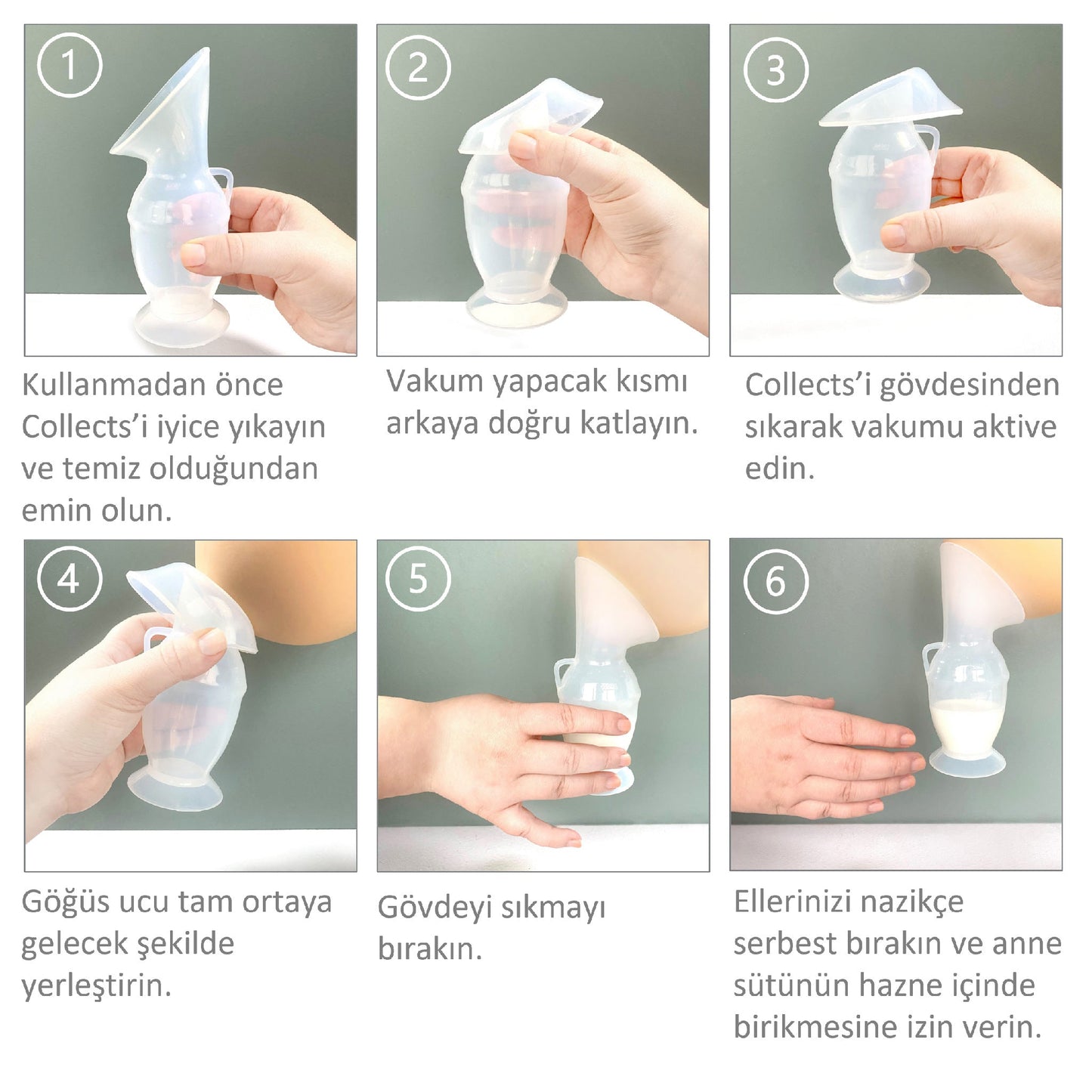 Süt Toplayıcı Collects