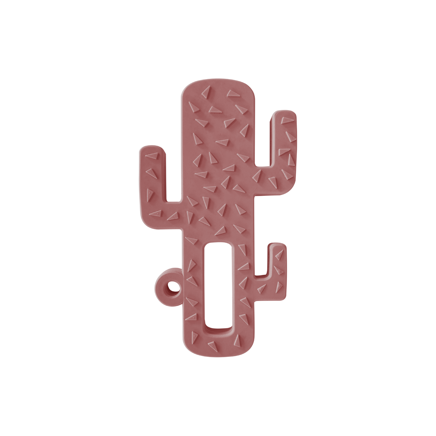 Diş Kaşıyıcı Kaktüs