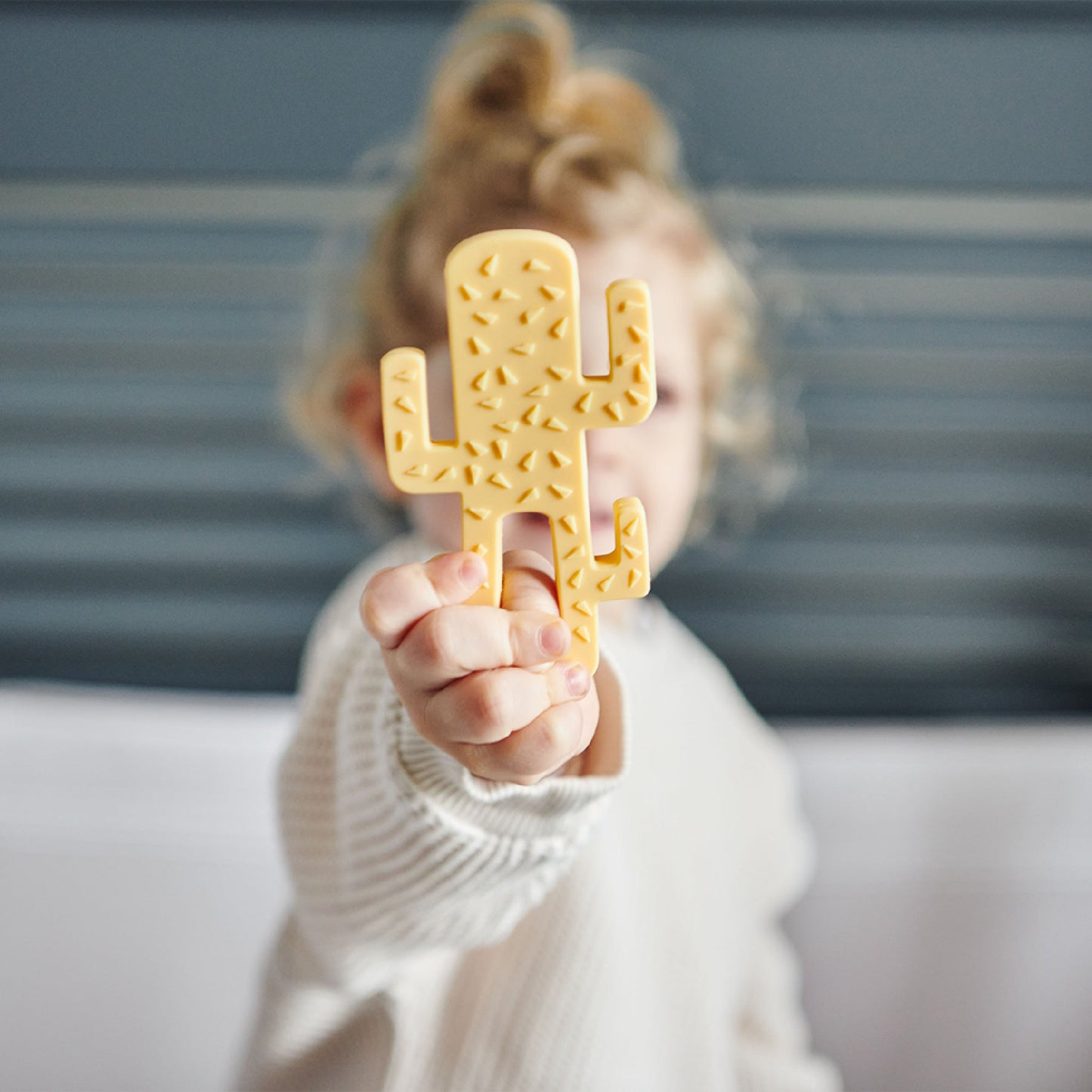 Diş Kaşıyıcı Kaktüs