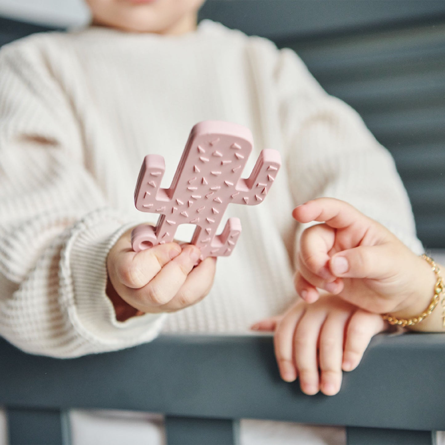 Diş Kaşıyıcı Kaktüs