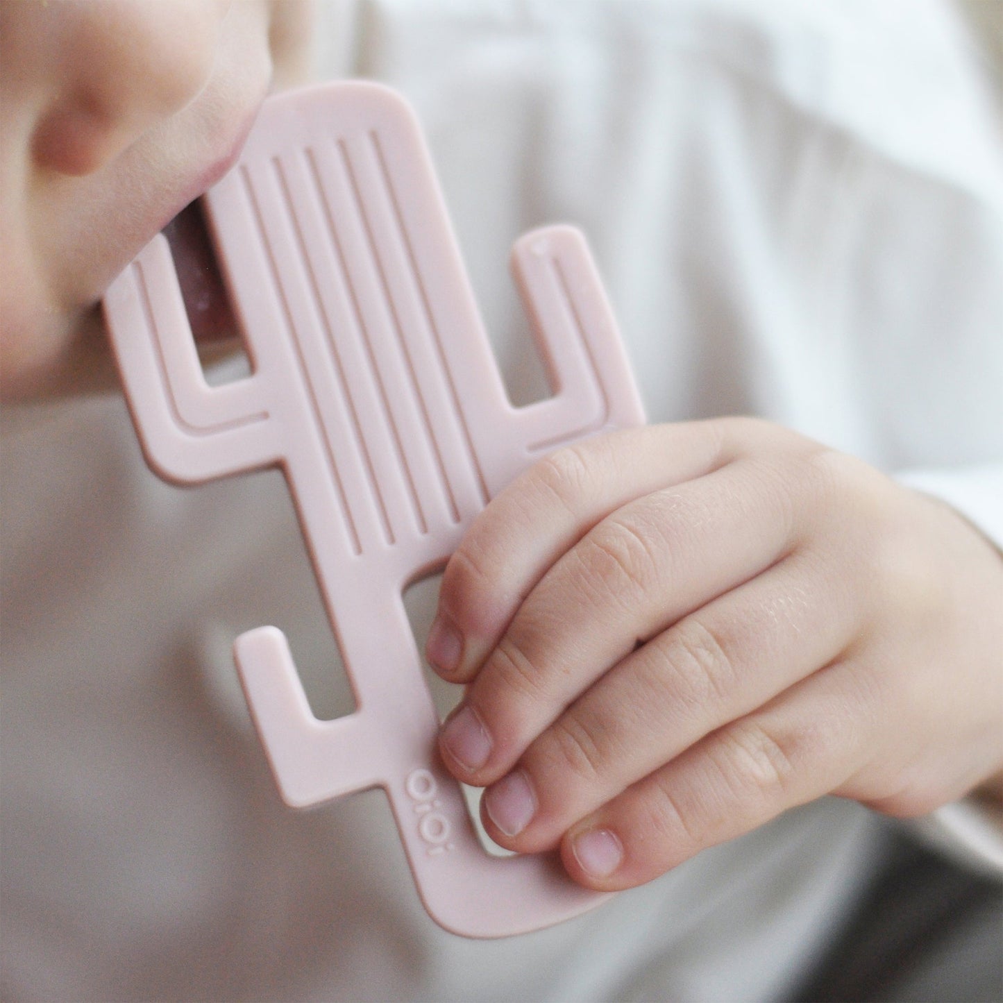 Diş Kaşıyıcı Kaktüs