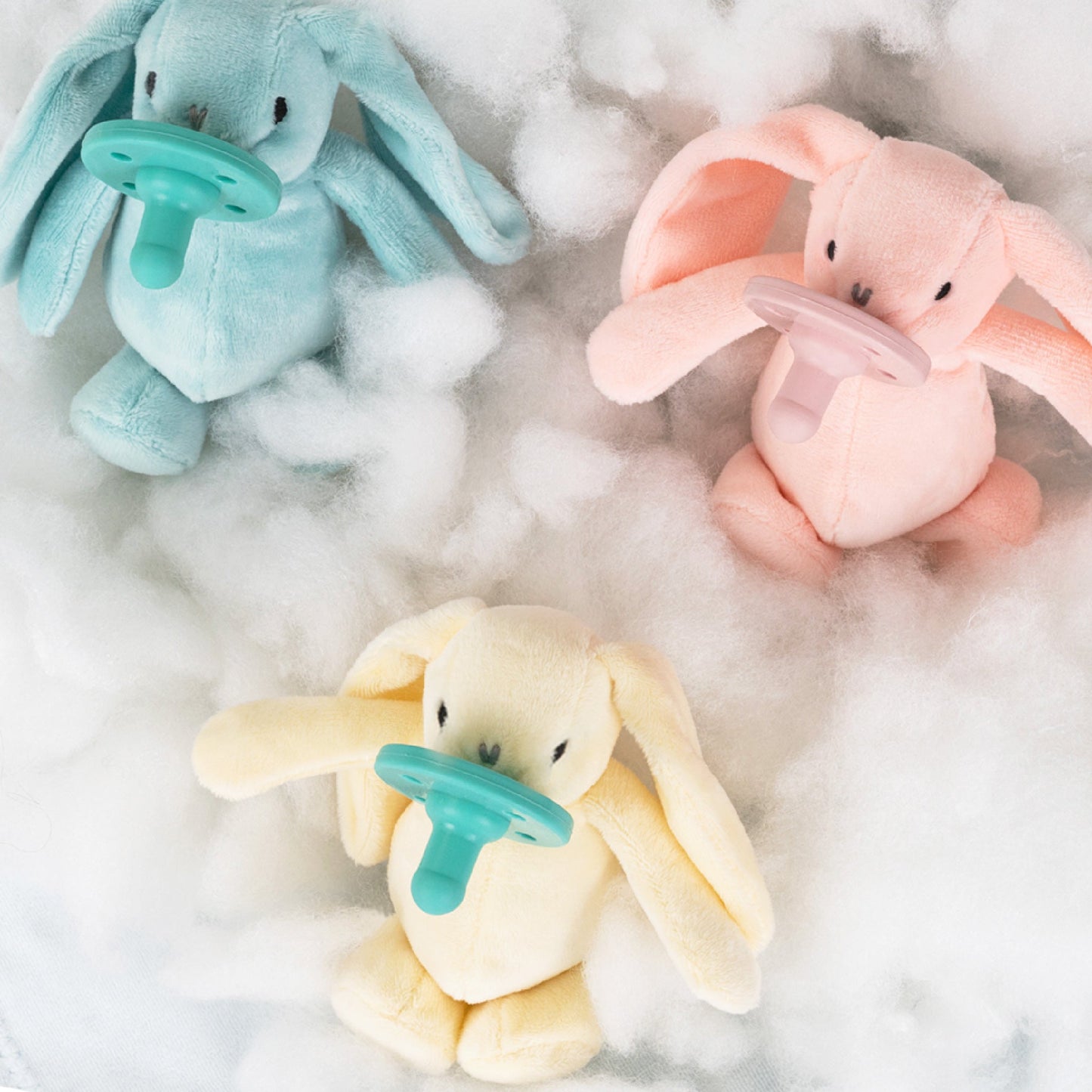 Uyku Arkadaşı Bonny