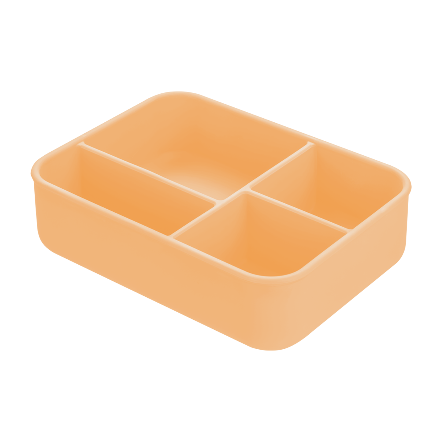Beslenme Kutusu Bento