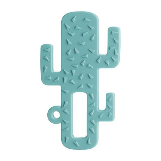 Diş Kaşıyıcı Kaktüs