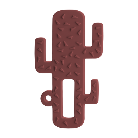 Diş Kaşıyıcı Kaktüs