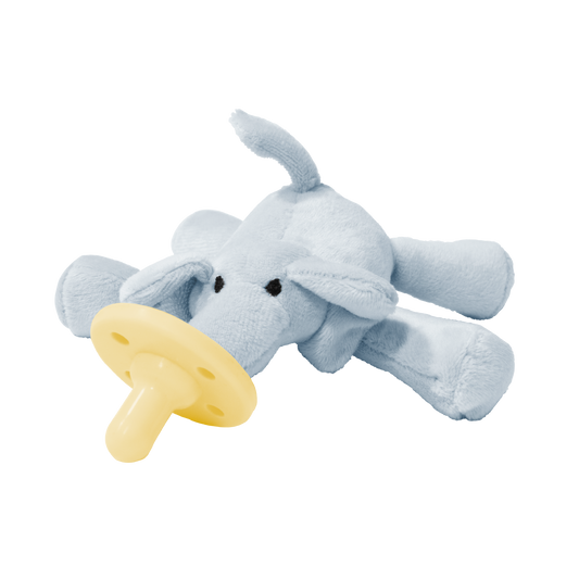 Uyku Arkadaşı Bonny